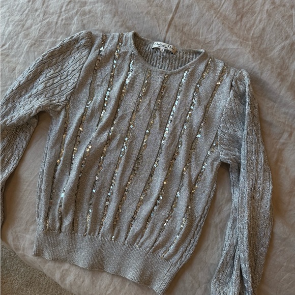 Dior Sweaters - Dior Silver Sweater with Sparkling Accents